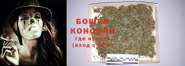 дмт Ельня