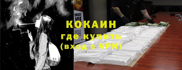 дмт Ельня