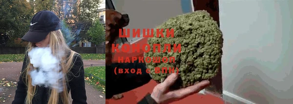 соль ск Елабуга