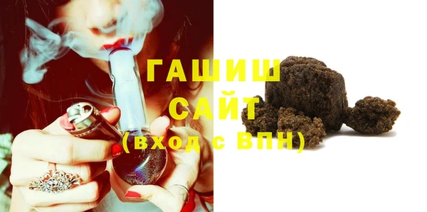 дмт Ельня