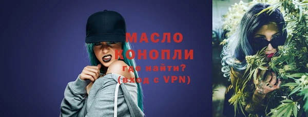 дмт Ельня