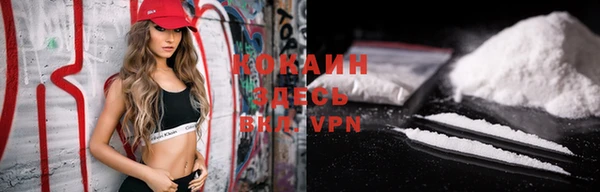 дмт Ельня