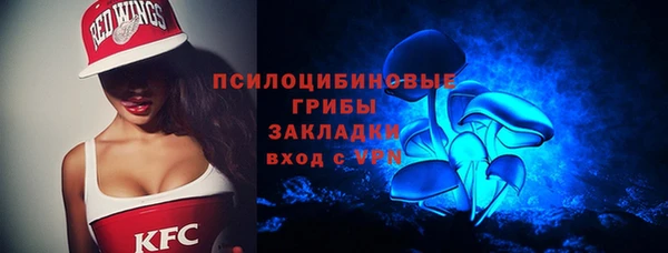 ECSTASY Елизово