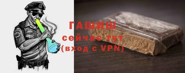 дмт Ельня
