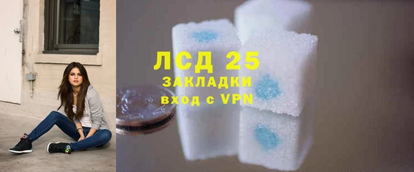 ECSTASY Елизово