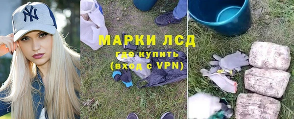 ECSTASY Елизово