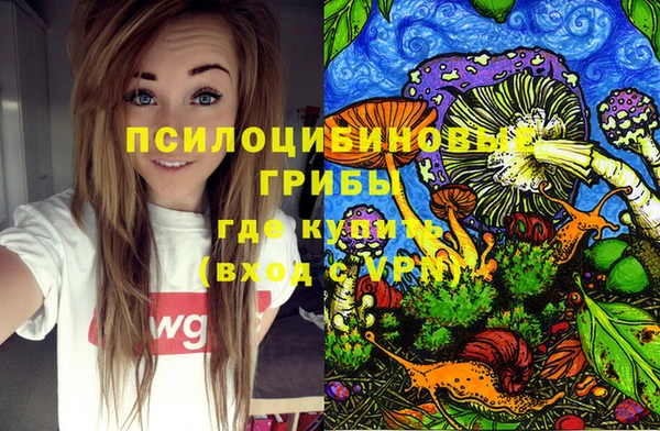 дмт Ельня
