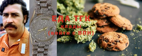 дмт Ельня