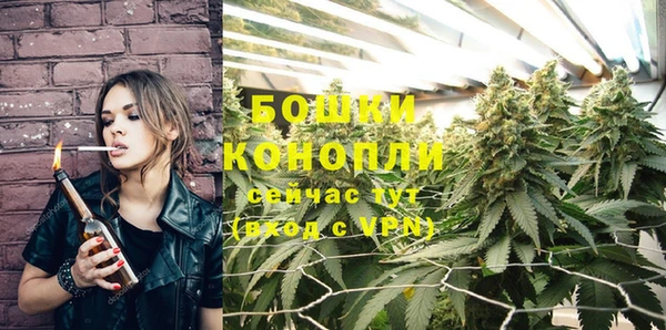 ECSTASY Елизово