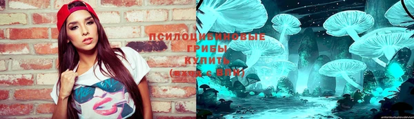 ECSTASY Елизово