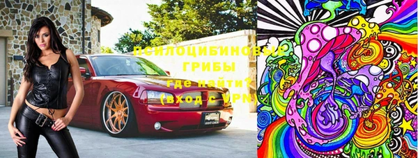 дмт Ельня