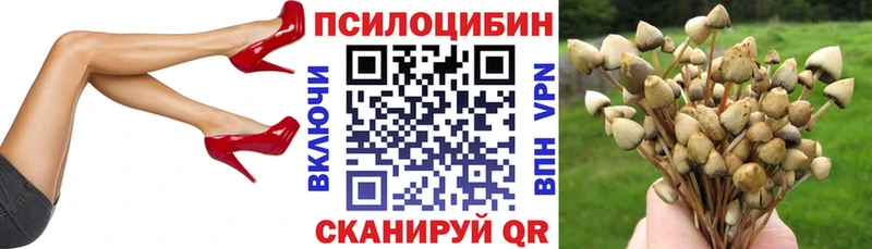 Псилоцибиновые грибы Cubensis  Купить где  Комсомольск-на-Амуре 
